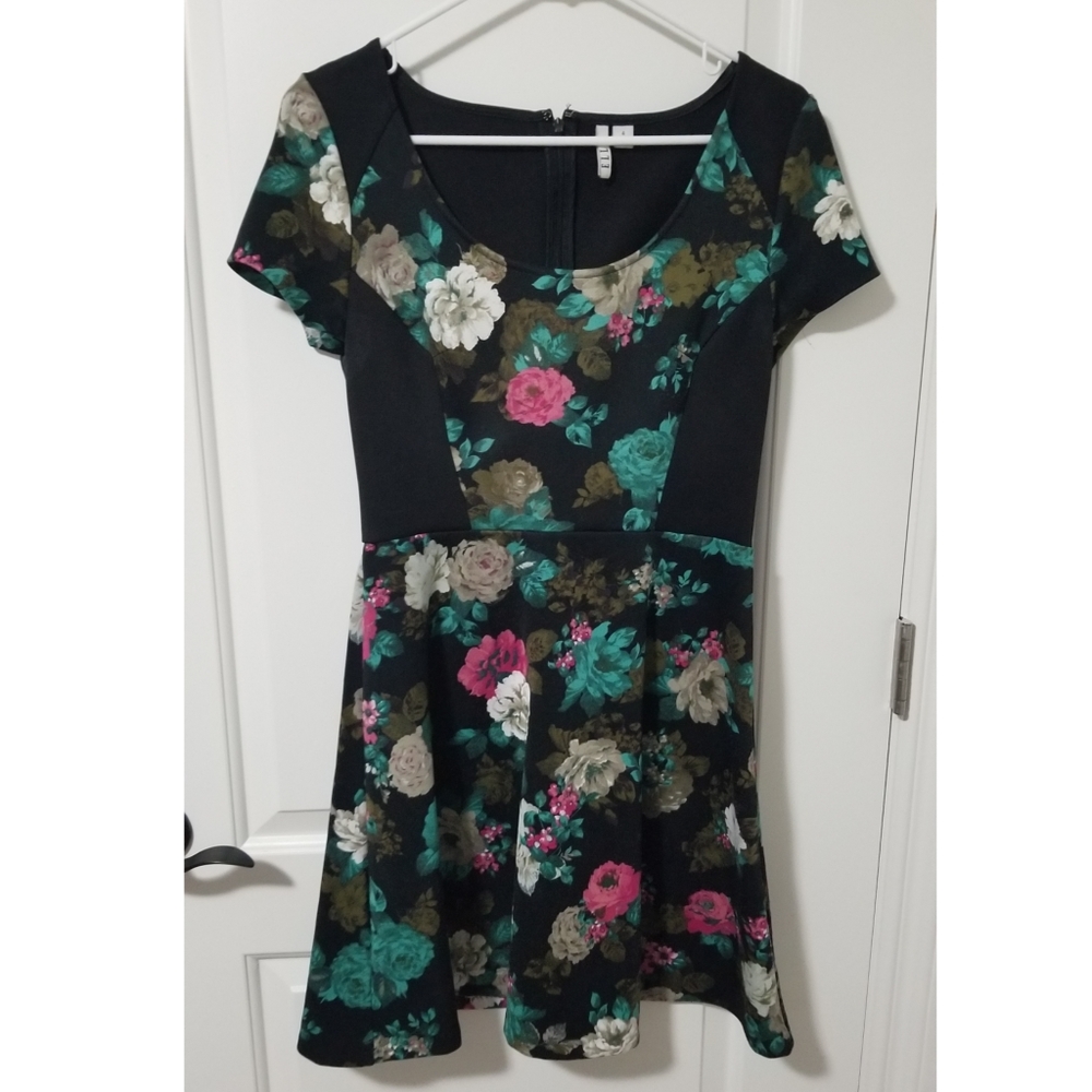 2/$20 Floral Skater skirt dress